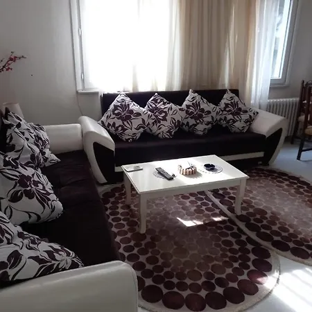 Luxurious For Tourist Rent